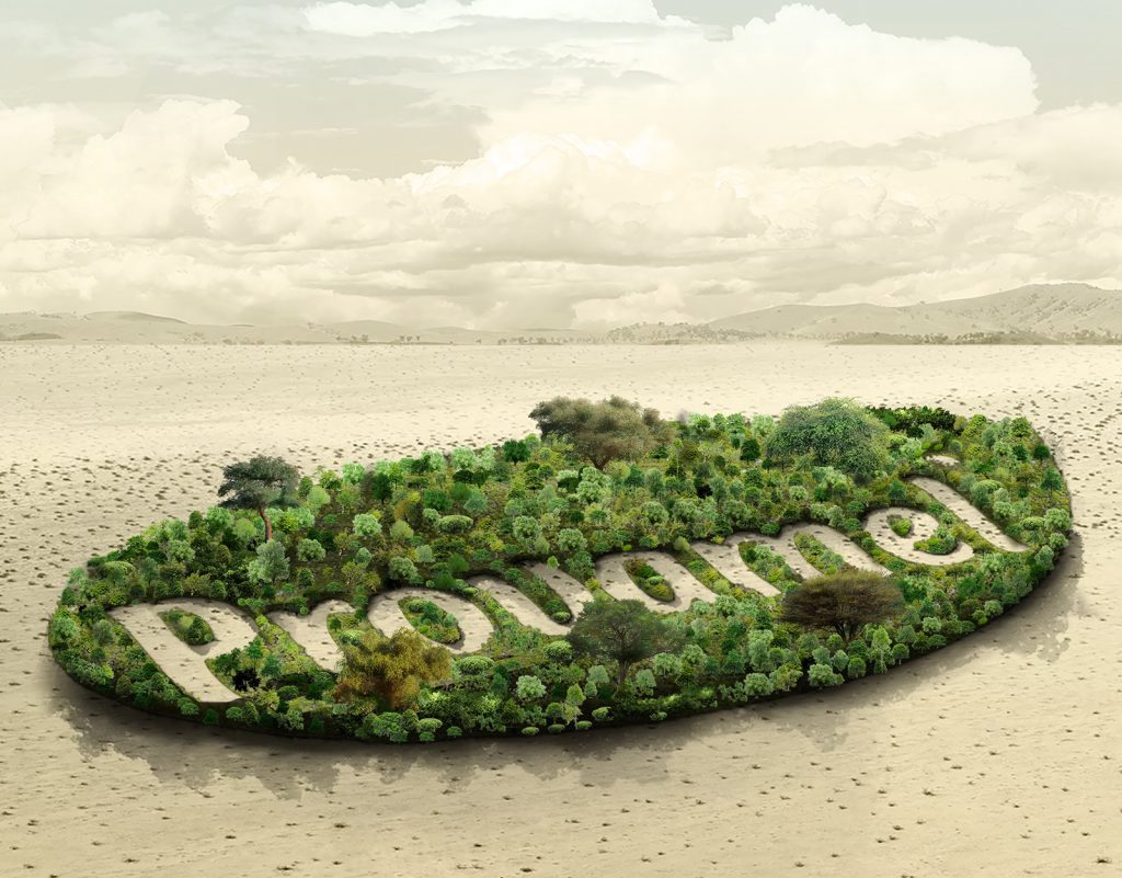 Putting the ‘green’ in the holiday season