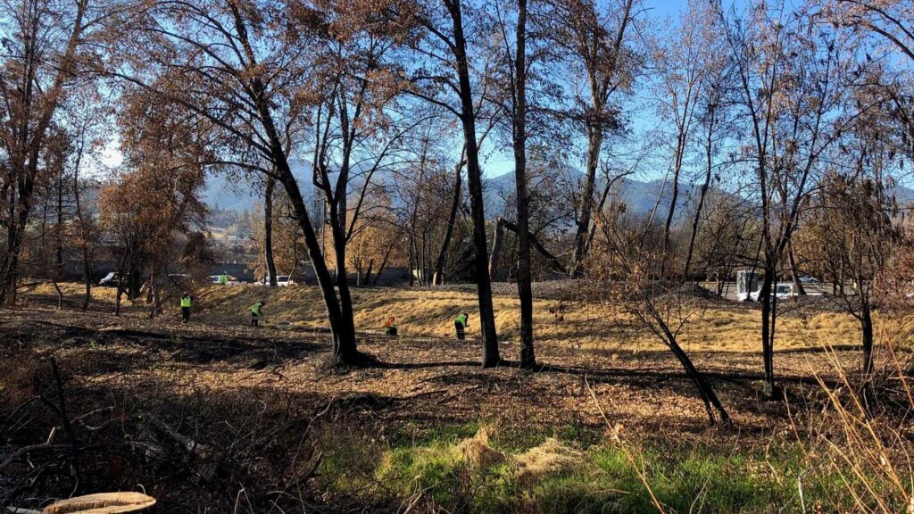 County-Owned Off-Trail Areas of Greenway Closing Due to Damaged Trees