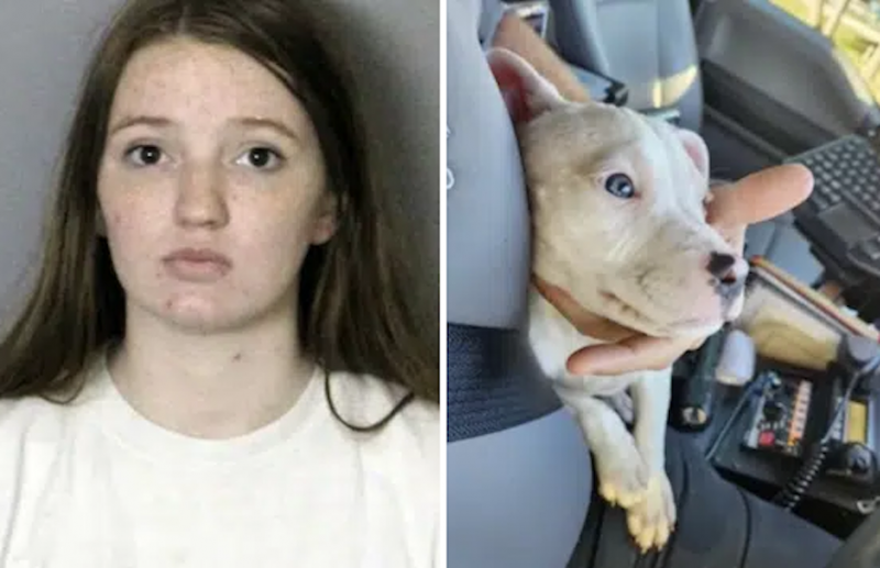 Mom left baby alone with puppy so she could take a shower; ‘then realized the puppy chewed this part off the baby’!