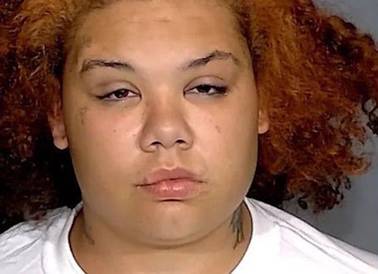 Aunt, who drank alcohol for most of the day, stabbed her 1-year-old baby niece in the neck after she tried to stab her dog because it stole the sandwich she just bought!