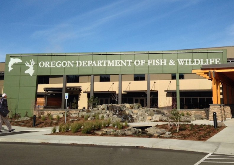 The Fish and Wildlife Commission held a workshop to discuss the Department’s five-year review of the Wolf Plan and consider next steps, state officials say