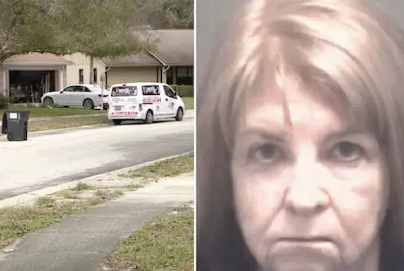 Girlfriend decided to kill her boyfriend, who had incurable cancer, with a pillow because he was dfecating himself due to his illness and she did not wish to clean him; told police she did it in order to prevent him from being in further pain