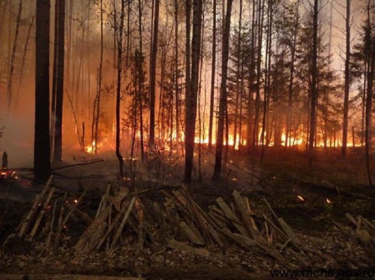 Oregon Governor Calls Special Legislative Session to Address Wildfire Response Costs