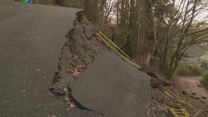 Three Injured After Trees Fall During Windstorm in Coos County
