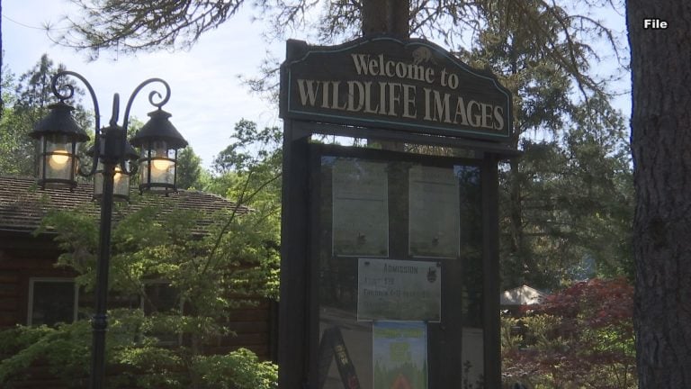 Wildlife Images Implements Heightened Disease Protocols Amid Avian Flu Concerns