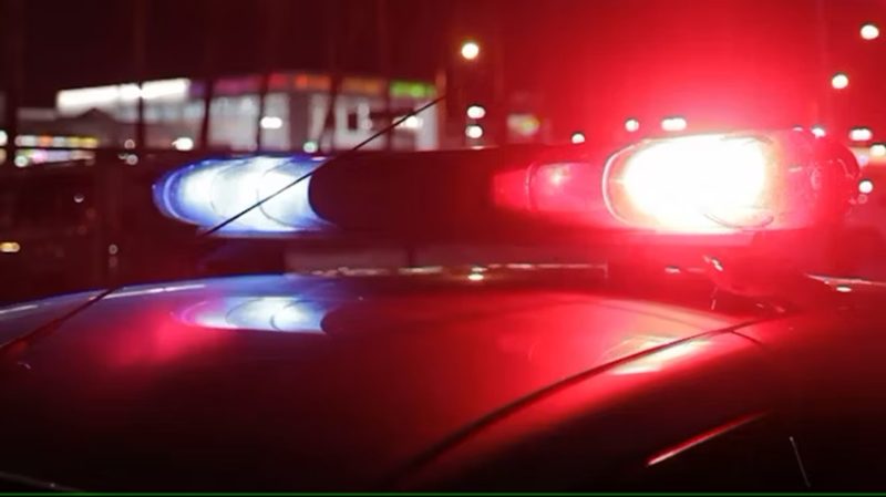 Cottage Grove Man Arrested After Alleged Assault Involving Dog Attack