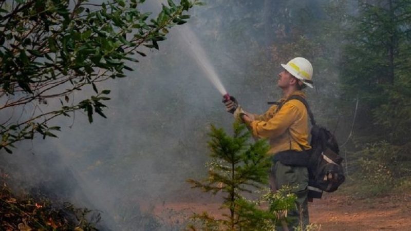 Oregon Legislature Allocates $218 Million to Address Wildfire Costs and Agency Deficits