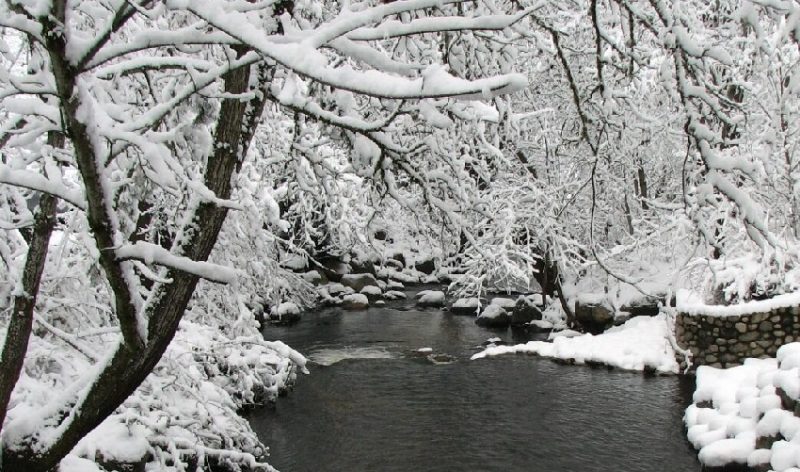 Ashland Parks and Recreation Continues Restoration Efforts Following Winter Weather