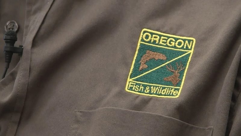 Oregon Fish and Wildlife Commission Approves New Sea Urchin Regulations and Other Key Measures
