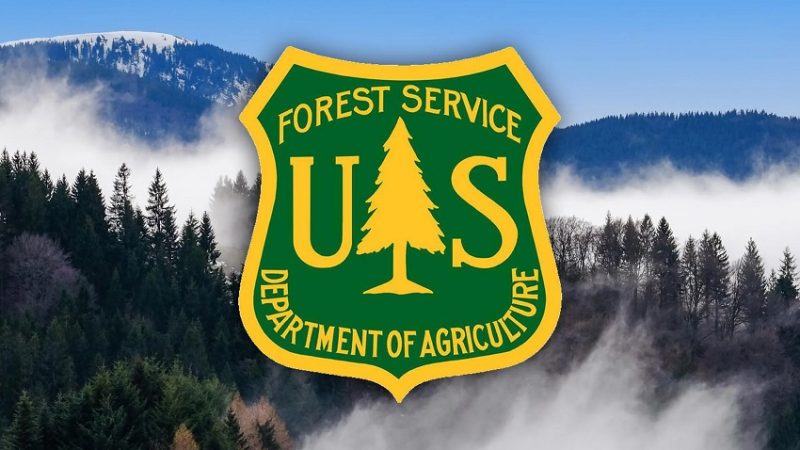 Thousands of U.S. National Parks and Forest Service Workers Fired in Sudden Layoffs