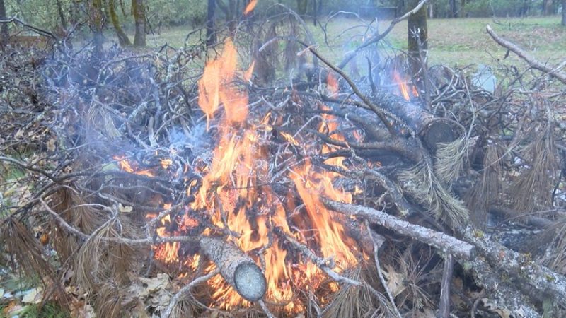 Wildfire Season: Safe Burning Practices to Protect Property and Community