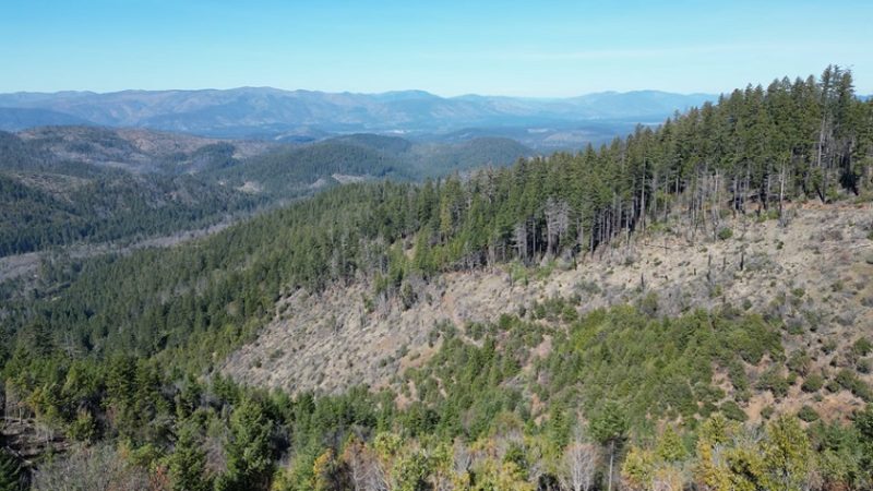 Illinois Valley Post-Fire Restoration Project Nears Completion