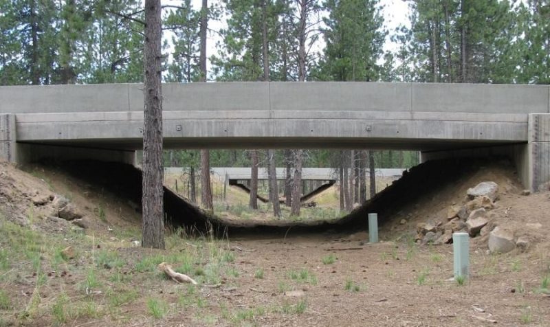 Oregon’s Proposed Tire Tax Faces Growing Opposition as Public Hearing Approaches