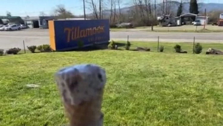 Oregon Supreme Court Revives Lawsuit Against Tillamook Over Misleading Advertising Claims
