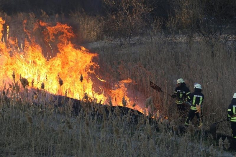 Grass Fire Near Eagle Mill Road in Ashland Contained