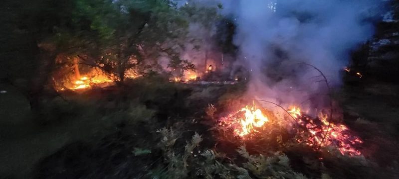 Small Vegetation Fire Quickly Extinguished in Selma