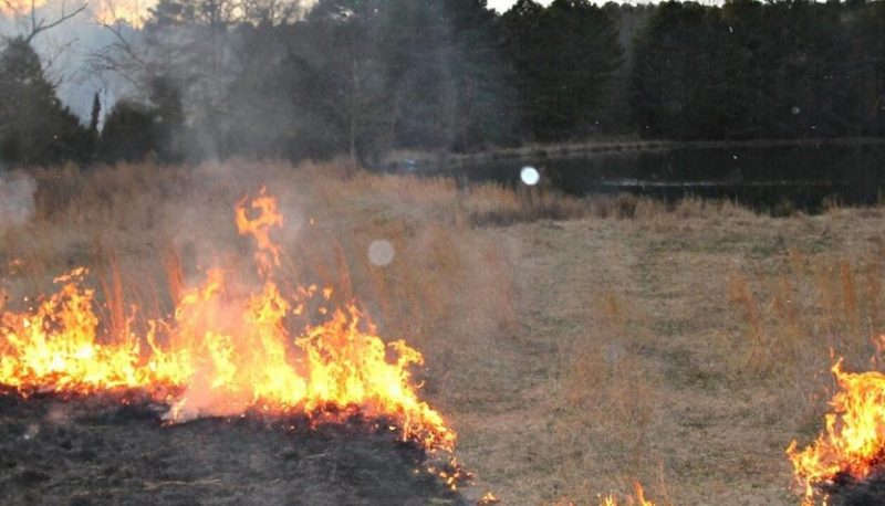 Lake County Implements County-Wide Burn Ban Starting June 6 Amid Fire Season